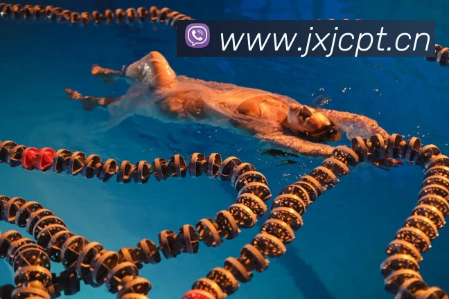 乐鱼官方站网页版登录入口平台生态图